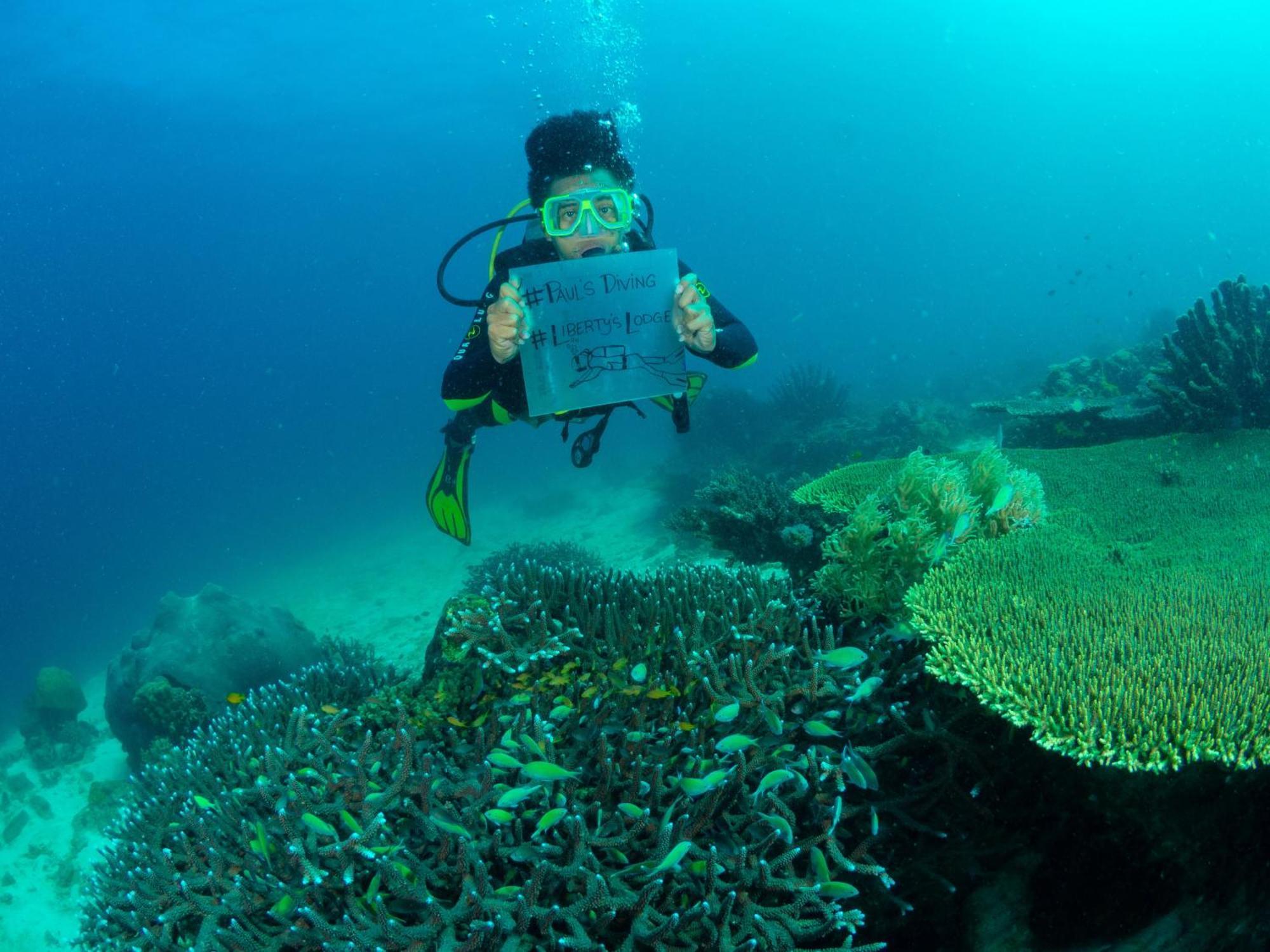 Liberty'S Lodge And Diving - Apo Island Dumaguete City Exterior foto