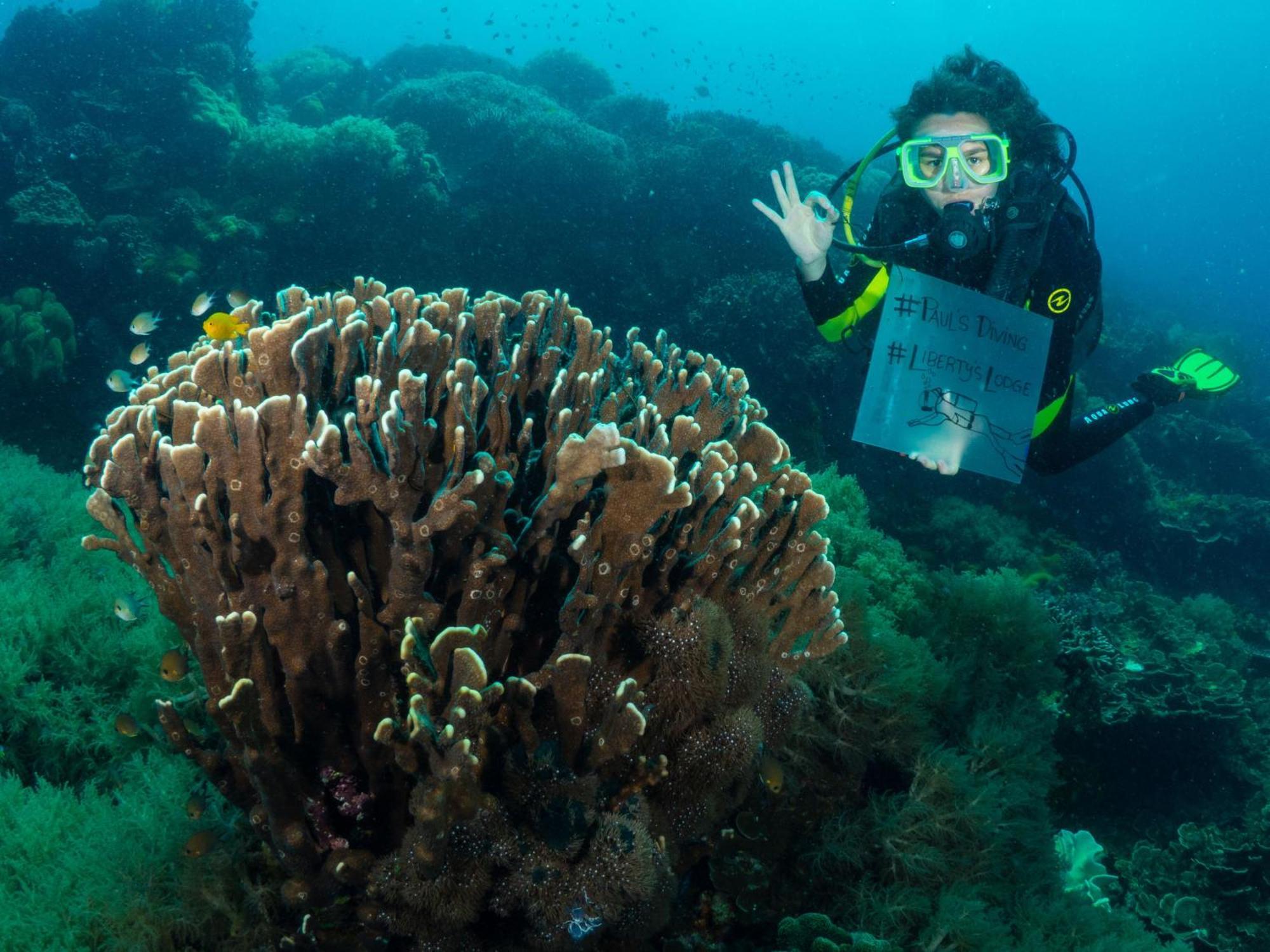 Liberty'S Lodge And Diving - Apo Island Dumaguete City Exterior foto