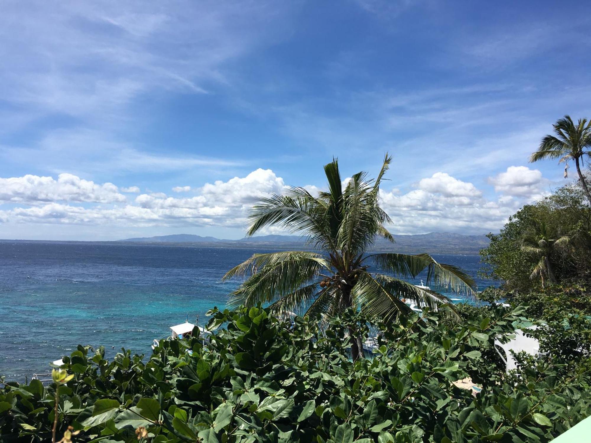Liberty'S Lodge And Diving - Apo Island Dumaguete City Exterior foto